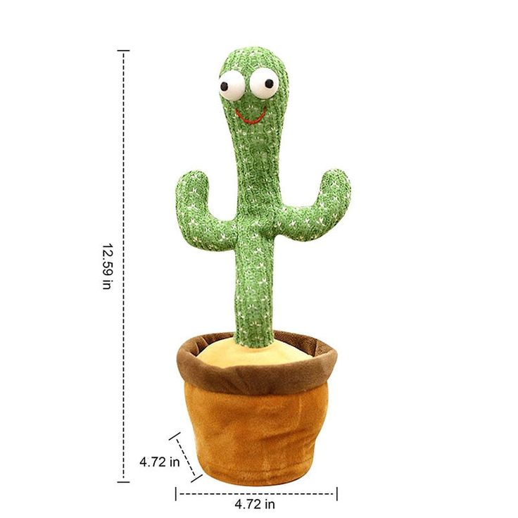 Cactus Bailarin
